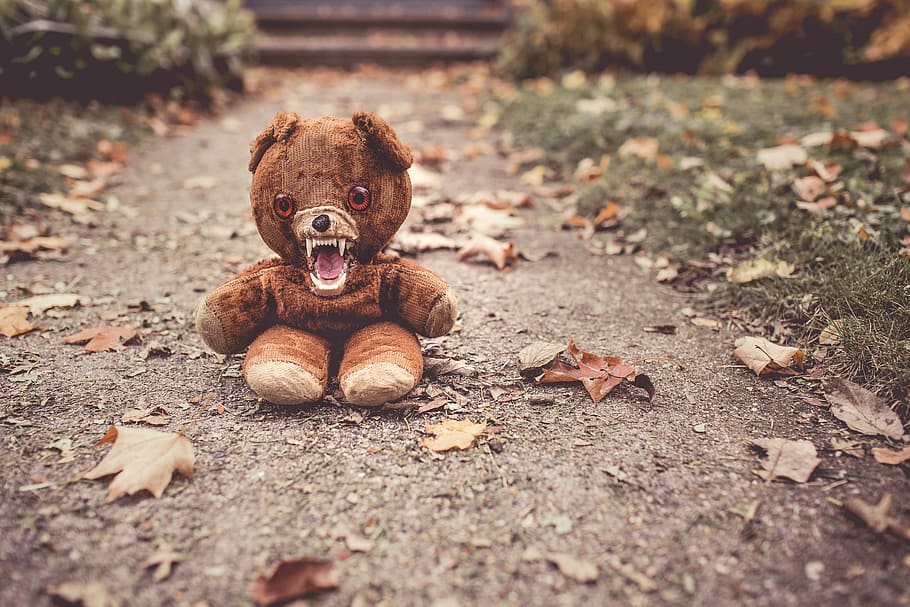 brown bear plush toy on gray concrete floor, objects, animals HD wallpaper