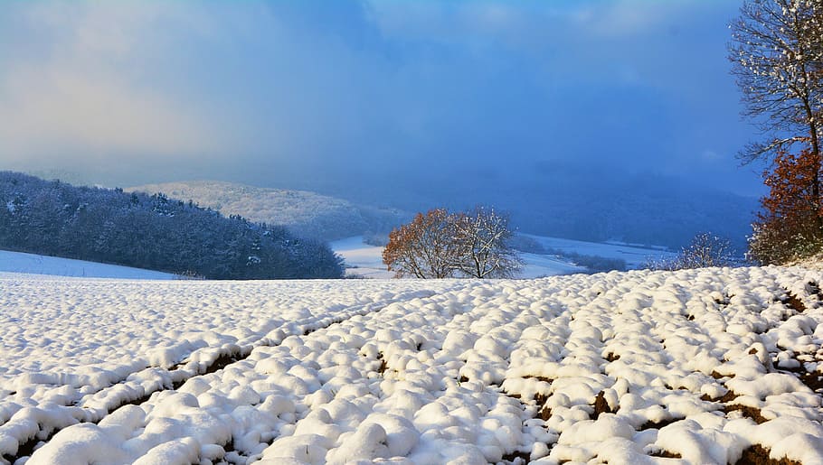 ground covered with snow, winter, wintry, snowy, landscape HD wallpaper