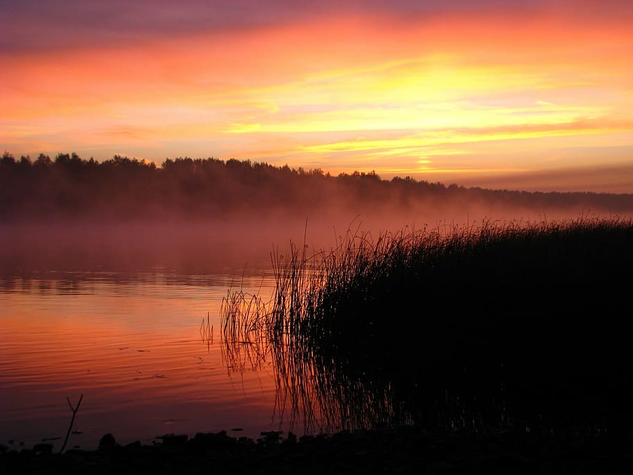 sunrise, river, backwater, quiet river, sky, morning, landscape HD wallpaper