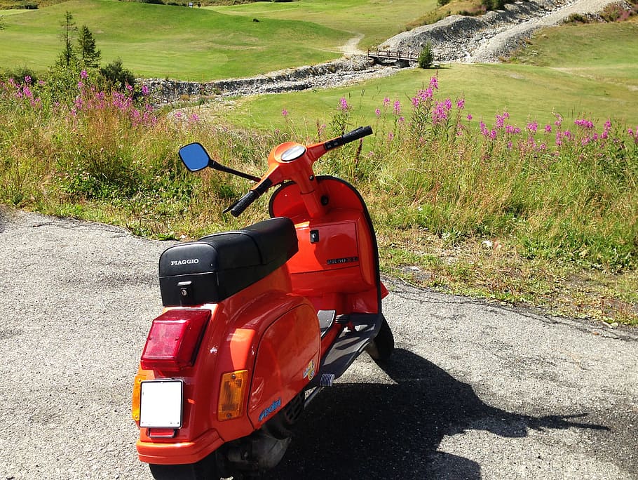 wasp, mountain, color, red, trip, moped, plant, day, nature HD wallpaper