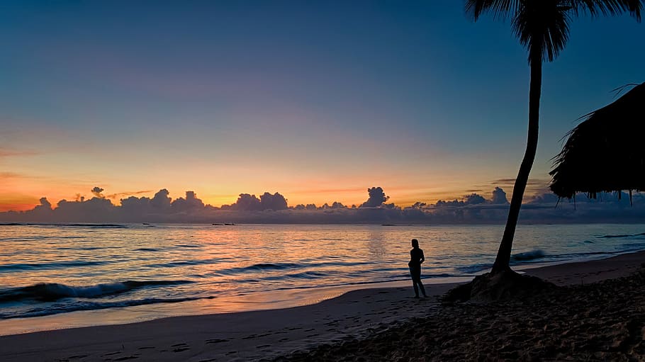 silhouette of person standing near body of water, person near palm tree during golden hour HD wallpaper