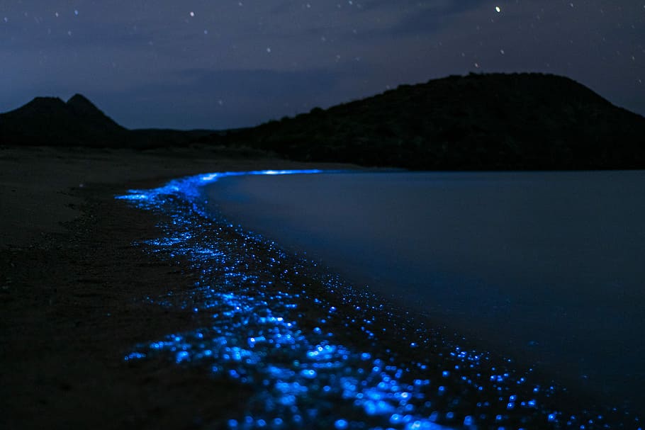 bioluminescent beaches in Maldives
