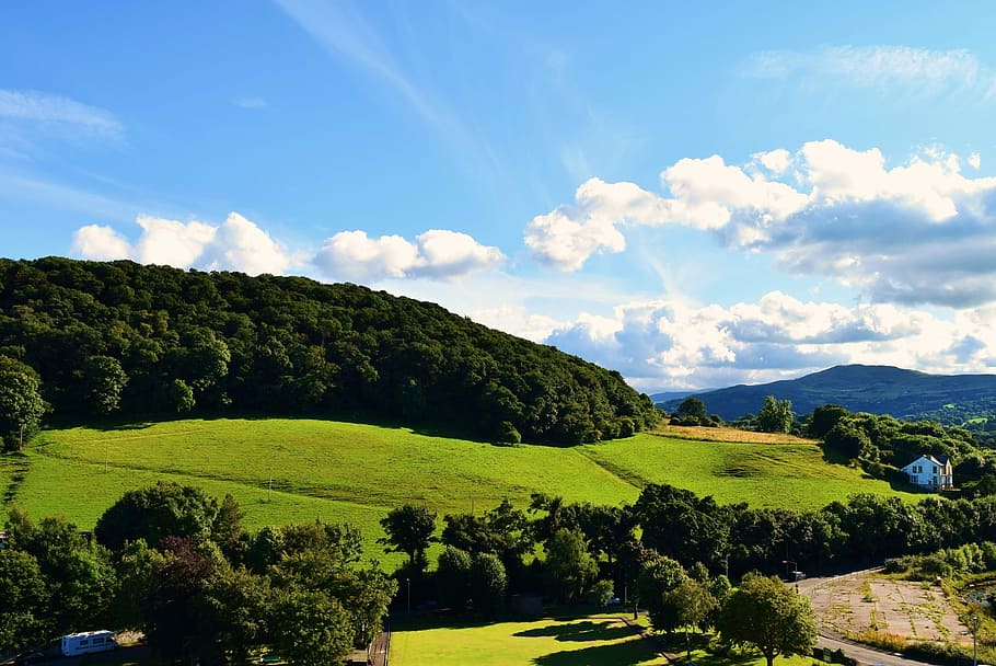 Landscape, Nature, Summer, Sky, Blue, green, grass, nature landscape HD wallpaper