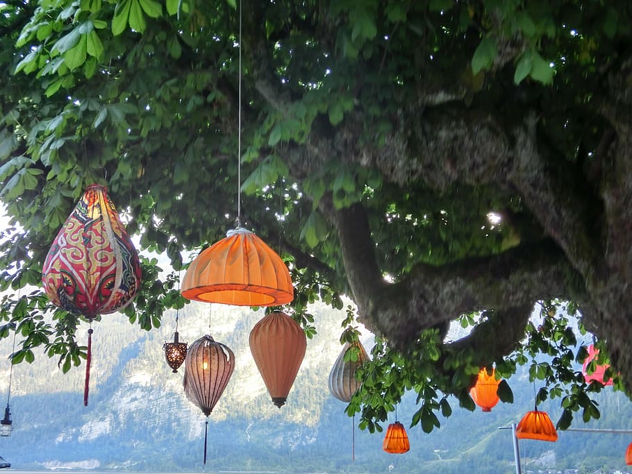 chinese lanterns, lamps, tree, light, lamp shades, plant, nature HD wallpaper
