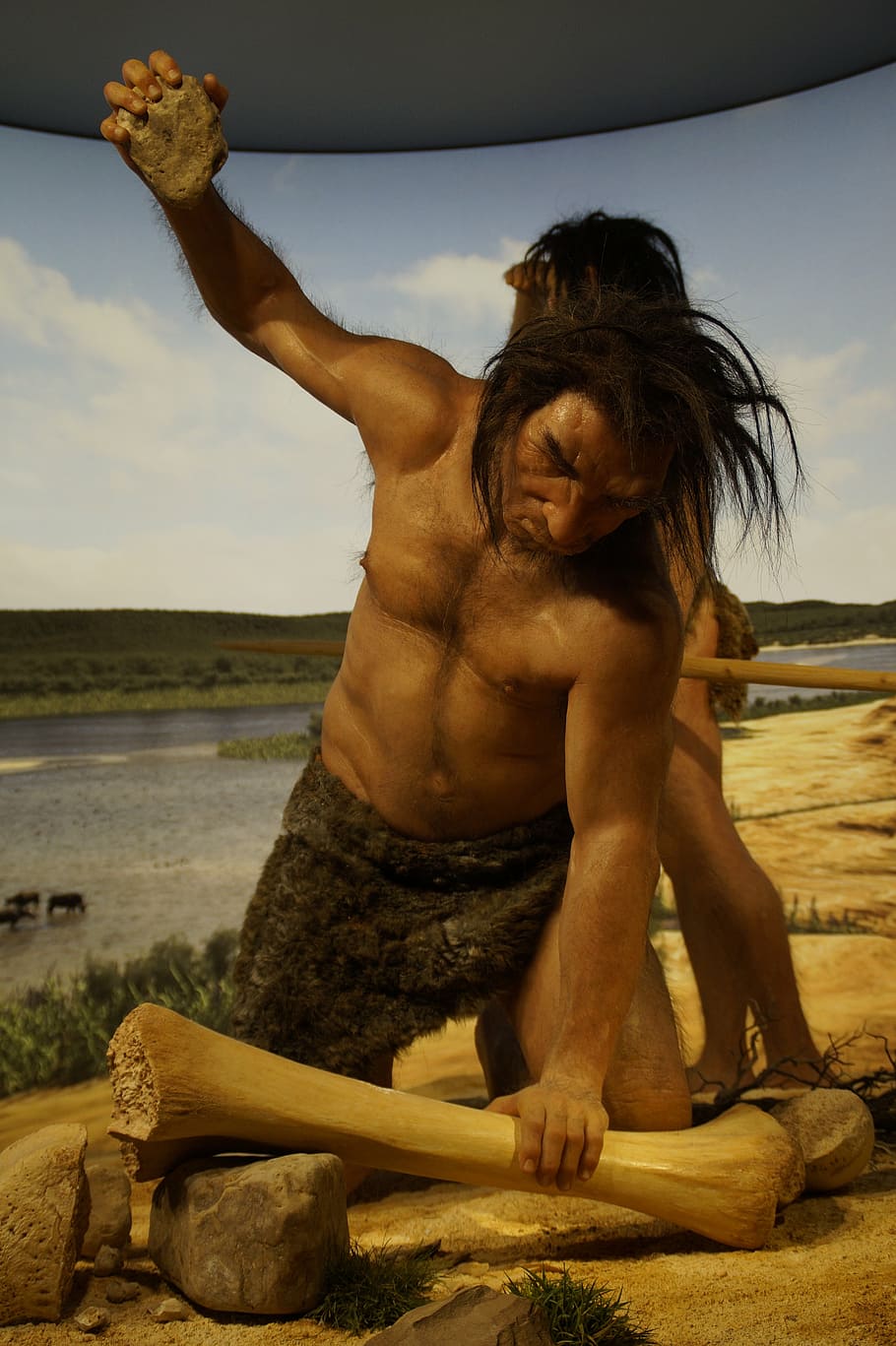 ancestor, stone age, caveman, neanderthal, hunting, museum, HD wallpaper