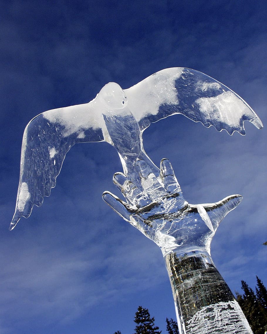 ice bird art, Ice, Carving, Lake Louise, Alberta, canada, winter, HD wallpaper