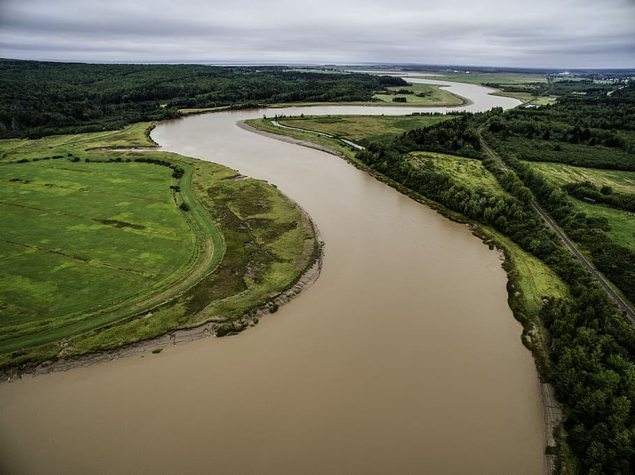 aerial photo of brown river between green grass field at daytime, river between grass field HD wallpaper