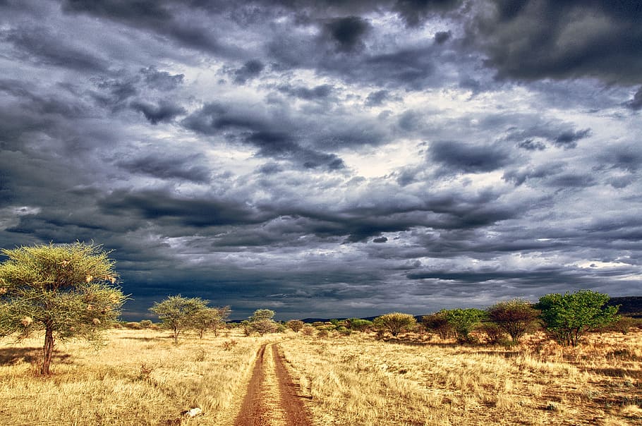 namibia, sunset, otjitongwe lodge, cloud - sky, plant, environment HD wallpaper