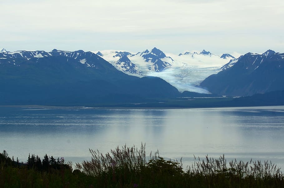 homer, alaska, blue, nature, wild, bay, water, glacier, cook's inlet HD wallpaper