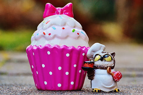 Baker, Cooking, Coffee, Cupcake, Owl, sweet pastry, dessert HD wallpaper
