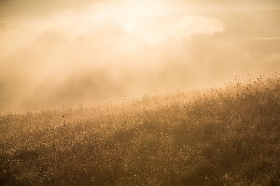 grass field under the gray sky, nature, landscape, sun, sunlight HD wallpaper