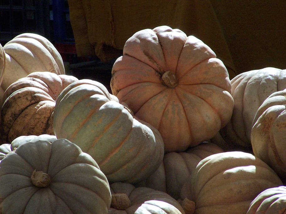 pumpkins, large, grey, food, autumn, plant, vegetable, food and drink HD wallpaper