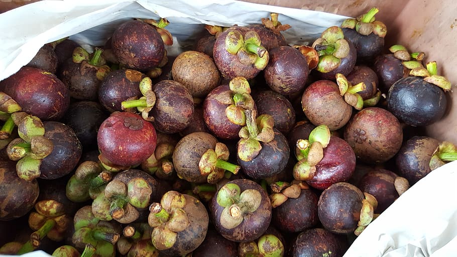 fruits, purple mangosteen, ripe, fresh, food, tropical, juicy, HD wallpaper