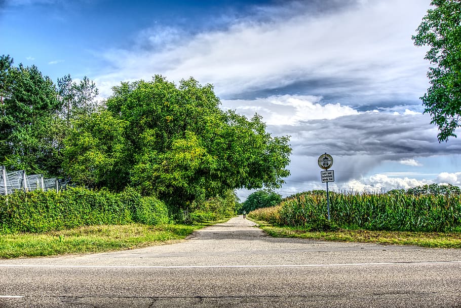 road, asphalt, landscape, agriculture, cycle path, shield, trees, HD wallpaper