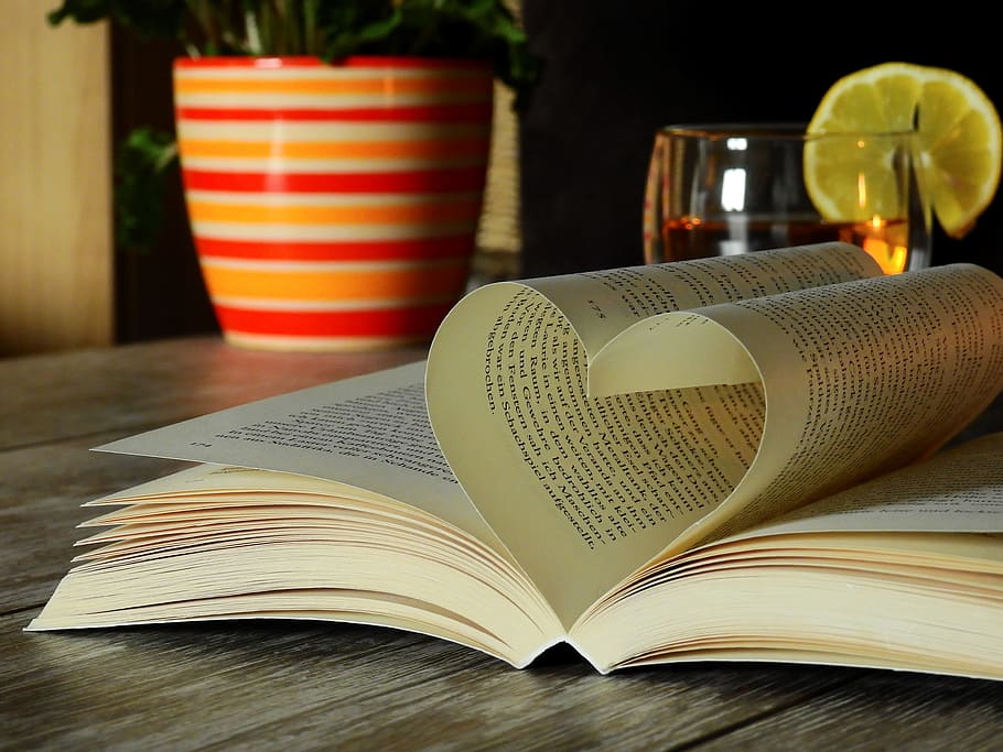 Book, Read, Literature, Learn, Text, font, page, tee, glass HD wallpaper