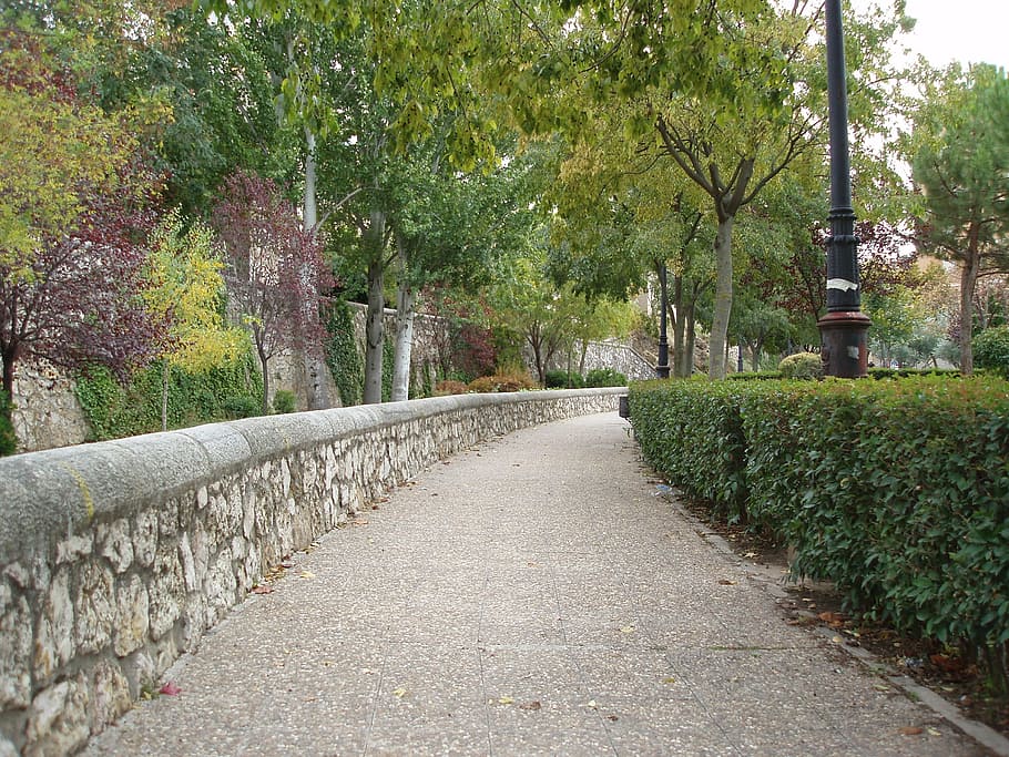 walk, xucar, basin, plant, tree, direction, the way forward HD wallpaper