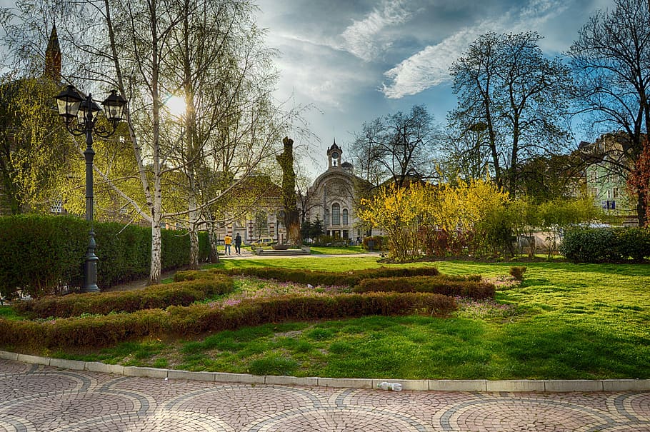 brown cathedral and trees during daytime, Sofia, Central, Store HD wallpaper