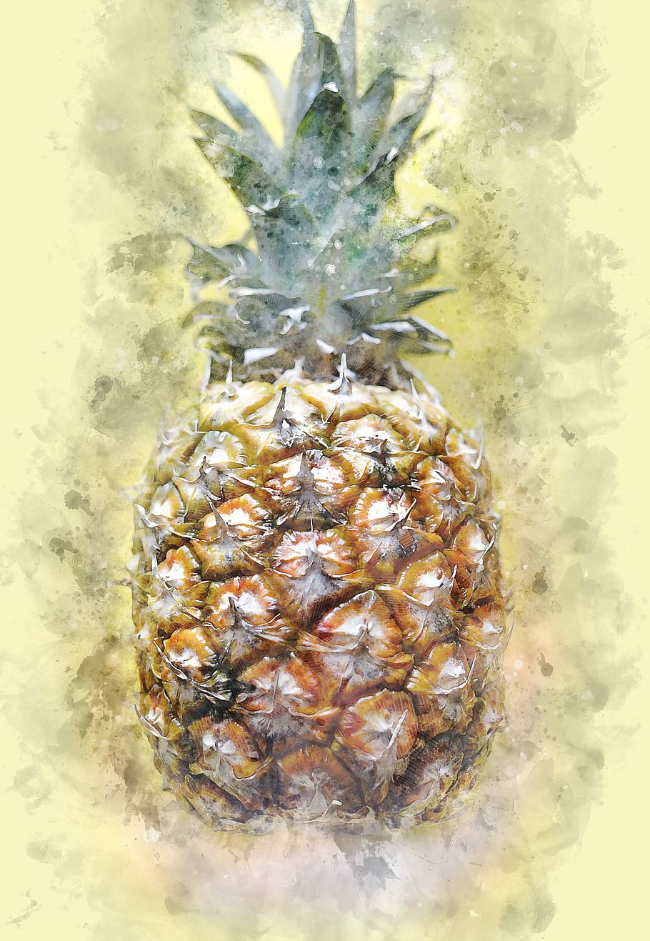 pineapple, tropical, fruit, food, exotic, fresh, healthy, natural HD wallpaper