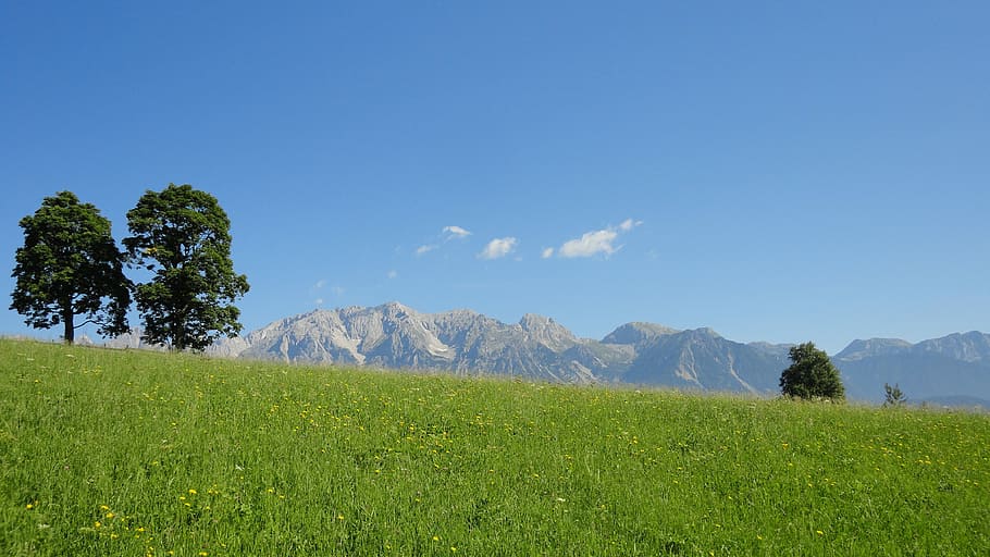 Dachstein, Ennstal, Ramsau, Summer, meadow, landscape, austria, HD wallpaper