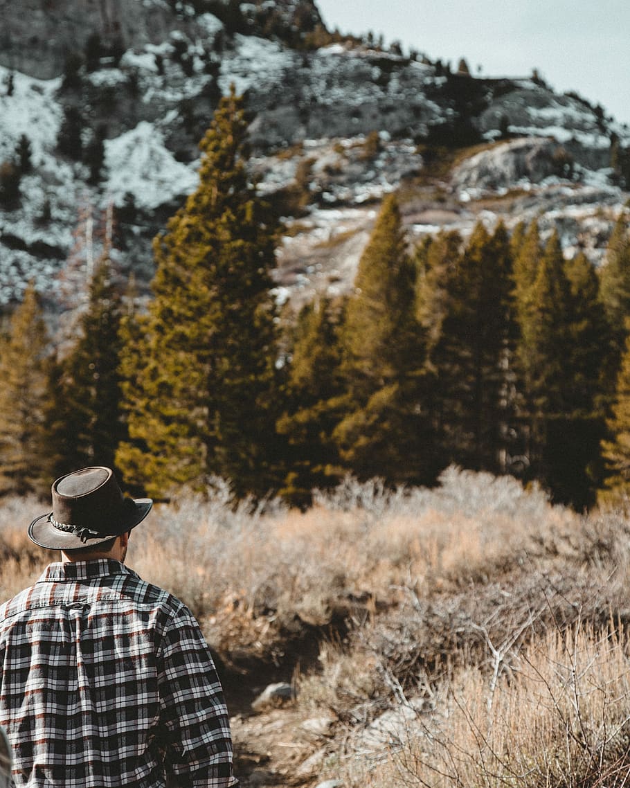 person wearing brown hat standing on forest during day time, man standing near green pine trees HD wallpaper