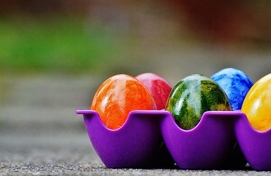 colored egg on purple rack, easter, easter eggs, colorful, happy easter HD wallpaper