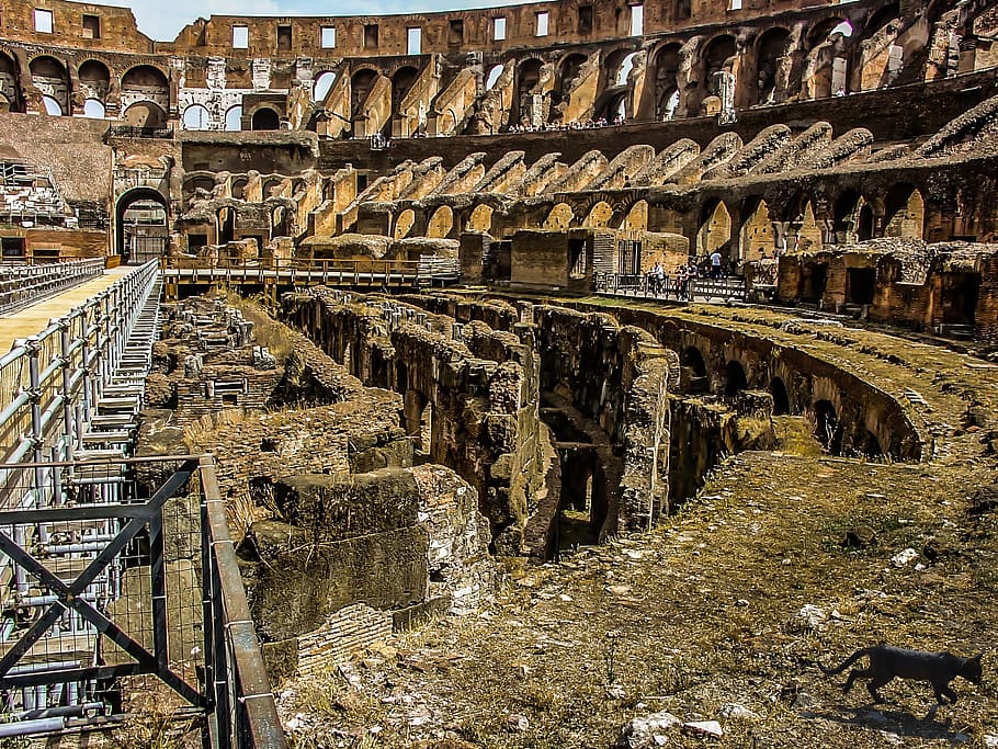 Rome, Colosseum, Ancient, Landmark, interior, floor, italian, HD wallpaper