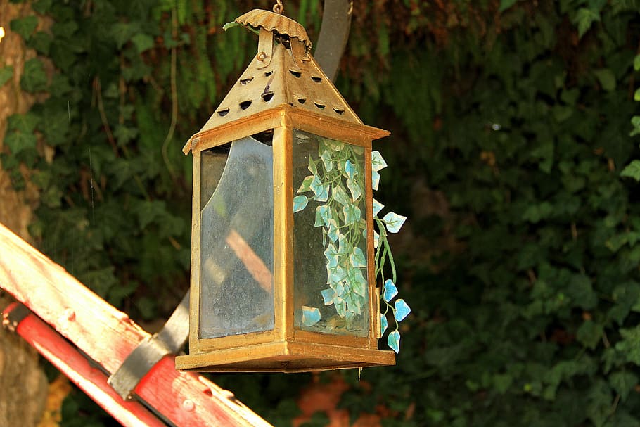 lantern, old, leaves, garden, plant, focus on foreground, nature HD wallpaper