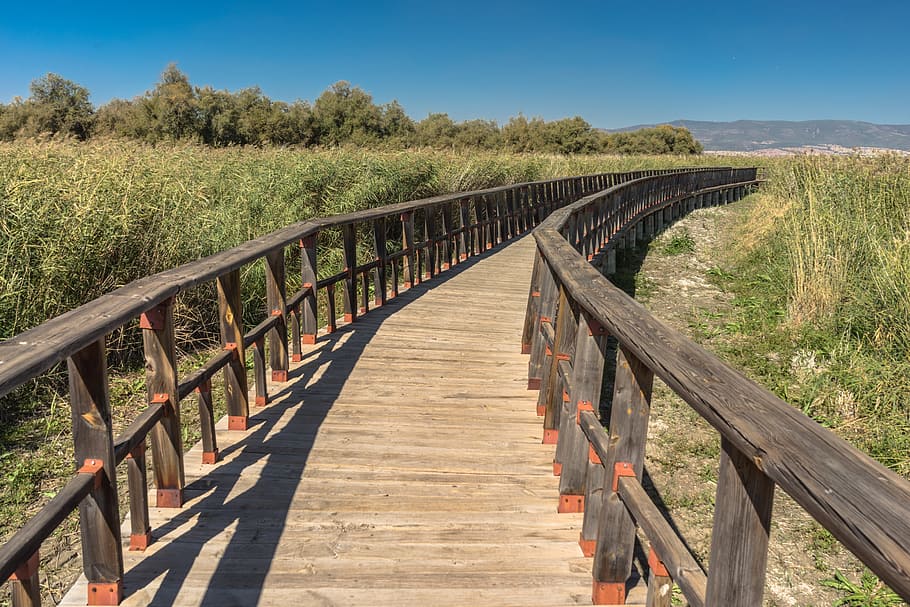 brown wooden bridge surrounded by grass, gateway, path, shadow HD wallpaper