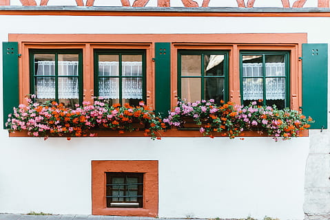 flowers on pots, red and white painted house with glass window and flowers outside during daytime HD wallpaper