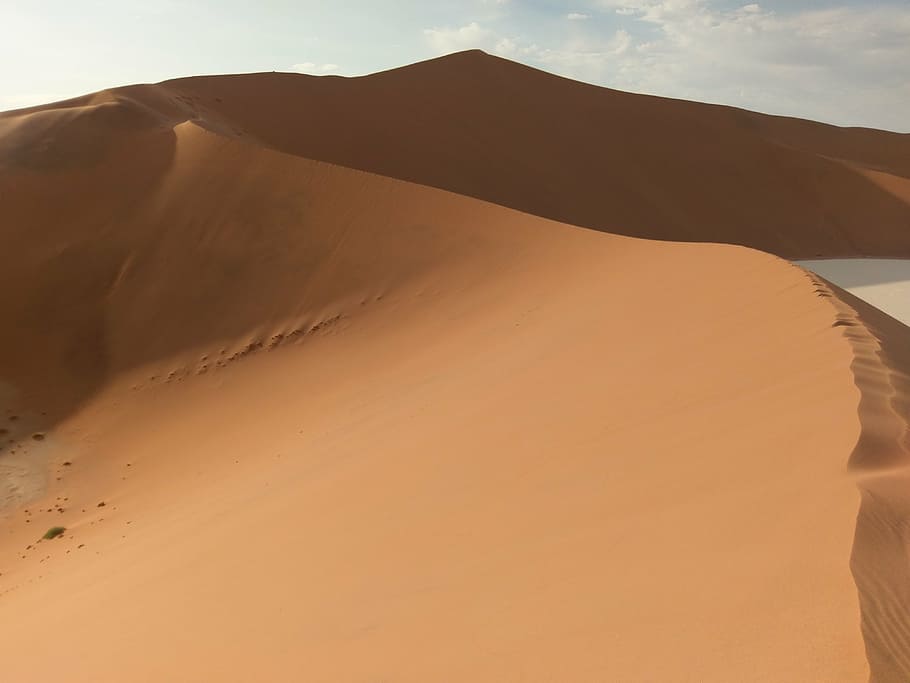 sand, dune, desert, namibia, trace, sand dune, scenics - nature HD wallpaper