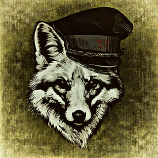 gray wolf wearing black hat illustration, fuchs, funny, cheeky HD wallpaper