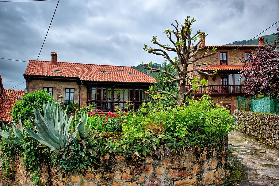 tree, nature, field, rustic, architecture, building exterior HD wallpaper