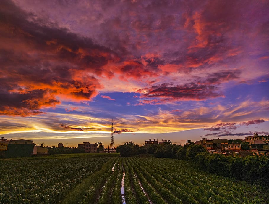 Sunset, View, Typhoon, Outdoors, Cloud, dusk, nature, sky, agriculture HD wallpaper