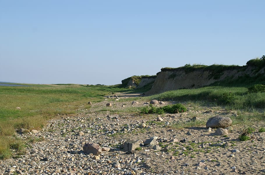 bluff, north sea, denmark, sky, clear sky, landscape, plant HD wallpaper