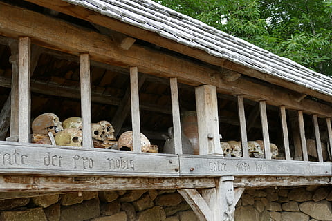 skull, bot, death, head, ossuary, architecture, built structure HD wallpaper