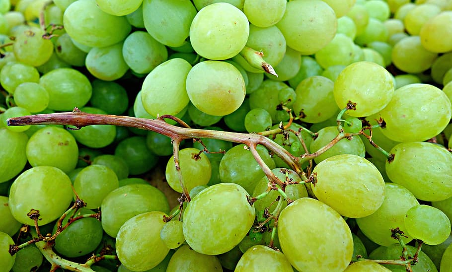 green grapes, fruit, fresh, nutrition, white grapes, fresh fruit HD wallpaper
