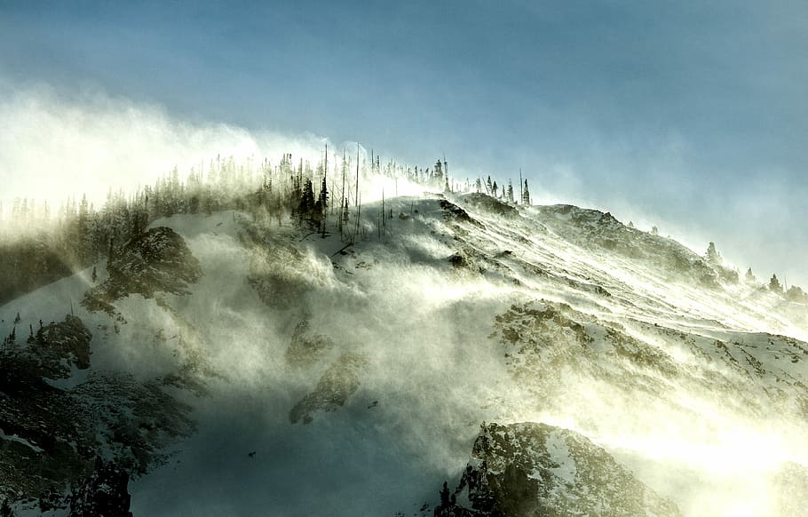 photography of foggy mountain, colorado, sun, wind, snow, tree HD wallpaper