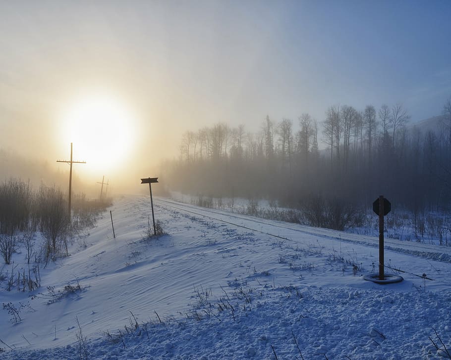 fog, train, tracks, winter, transport, railroad, travel, outdoor HD wallpaper