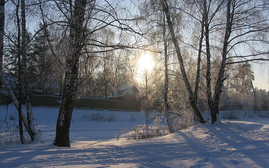winter, snow, sun, sunset, landscape, cold, nature, cold temperature HD wallpaper