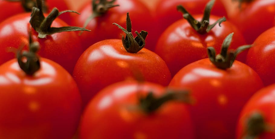 pile of red tomatoes, fruit, food, fresh, healthy, vegetable HD wallpaper