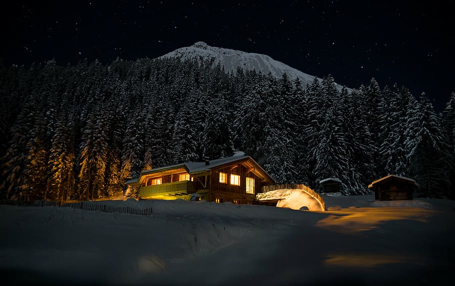 brown wooden house near trees covered with snow, night, star