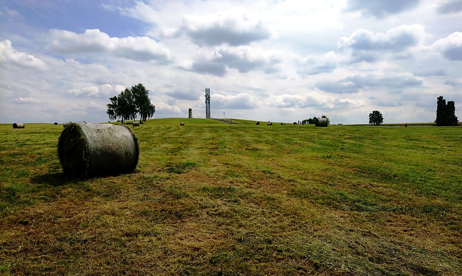 field, clouds, nature, summer, landscape, sky, rural, green HD wallpaper