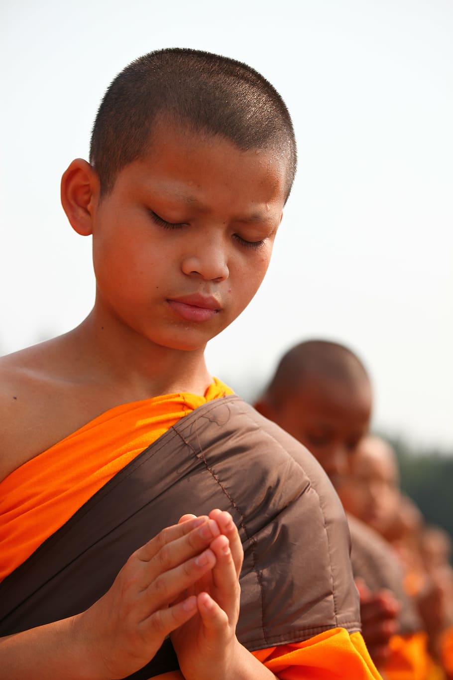 buddhists, monks, child, prayer, buddhism, praying, walk, orange