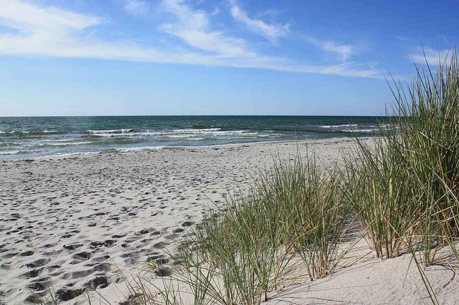Hiddensee, Marram Grass, Landscape, beach, sand, sea, nature HD wallpaper