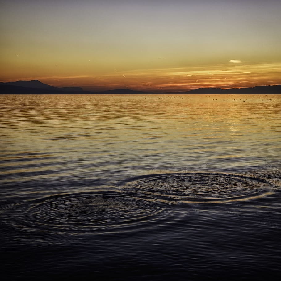 ripples on the ocean during sunset, body on water during sunset HD wallpaper