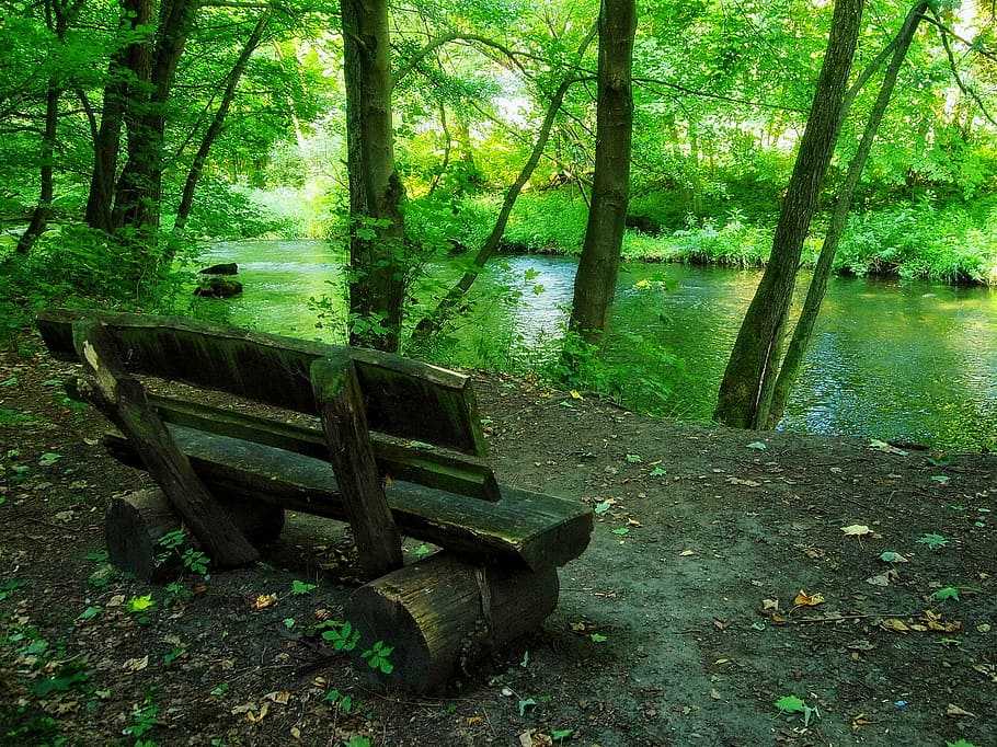 empty wooden bench beside trees and water, german, stream, creek HD wallpaper