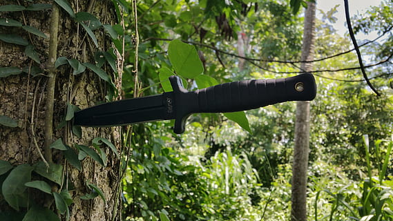 boot knife, stab, black, blade, tree's, vines, leaves, plant HD wallpaper