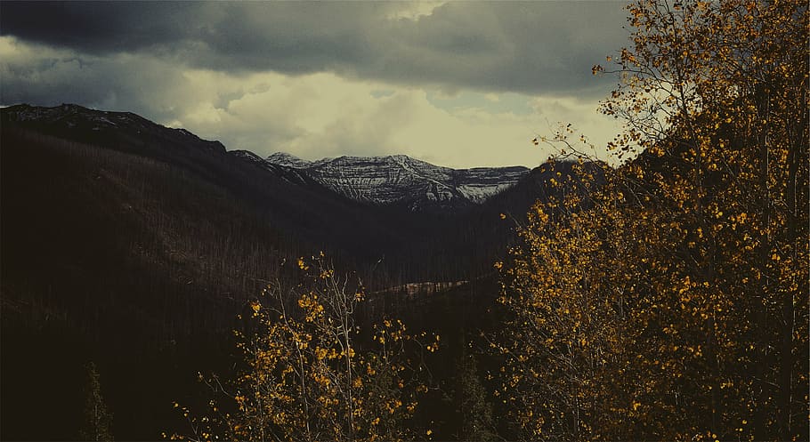 trees and mountains, landscape, photography, gray, black, peak HD wallpaper