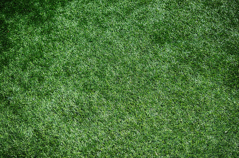 Artificial Grass 1080p 2k 4k 5k Hd Wallpapers Free Wallpaper Flare - Synthetic Grass Wallpaper