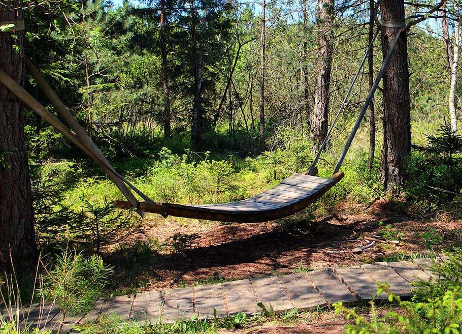 relaxation, swing, hammock, rest, sleep, forest, holiday, nature HD wallpaper